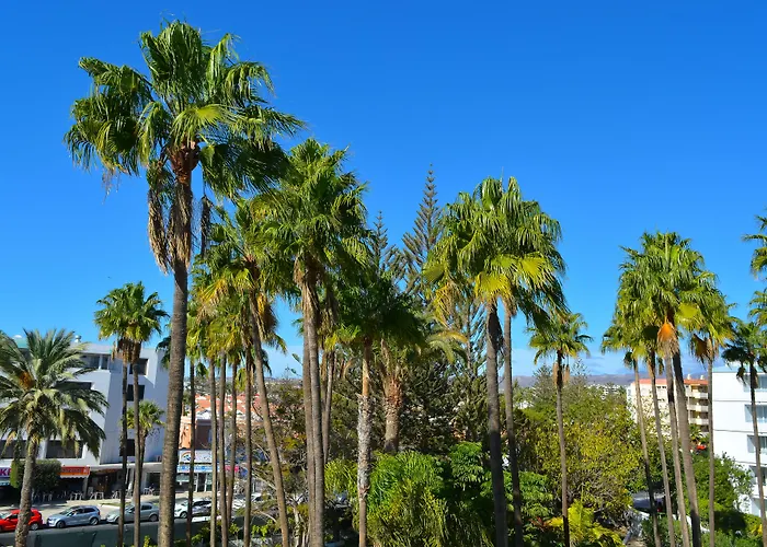 Apartmán Playa Del Sol - Adults Only *