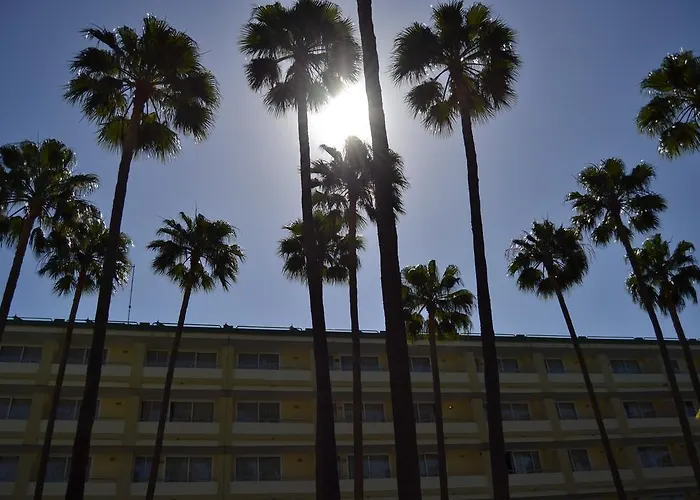 Apartamento Playa Del Sol - Adults Only *